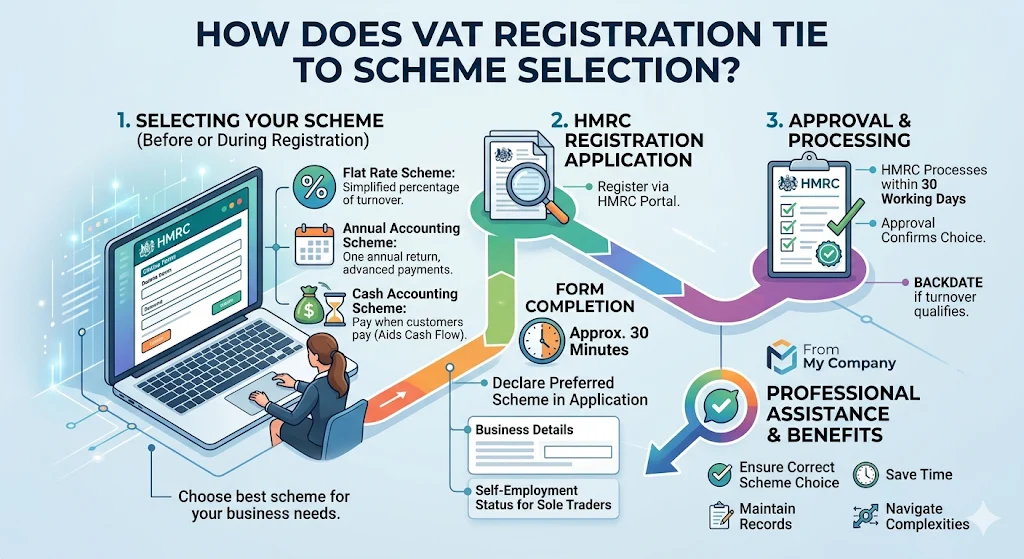How Does VAT Registration Tie to Scheme Selection