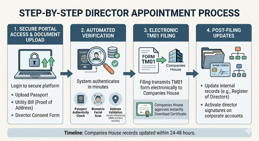 How Does the Director Appointment Process Work Step by Step